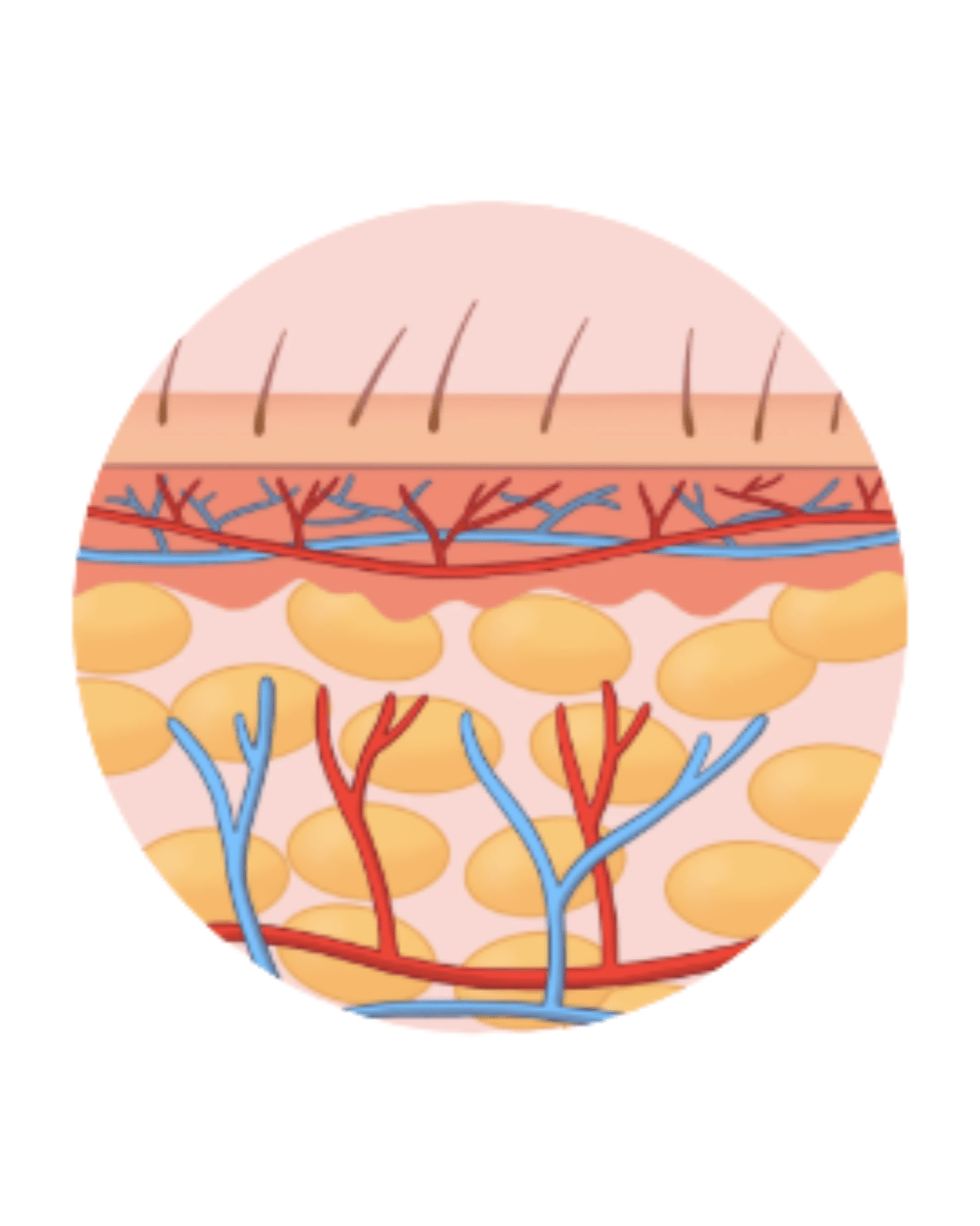 FEDTFRYSNING RESULTAT